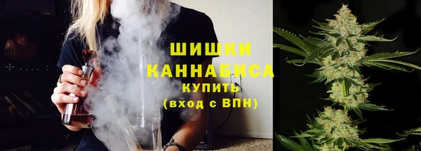 шишки Осинники