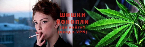 шишки Осинники