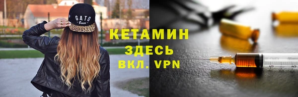 шишки Осинники