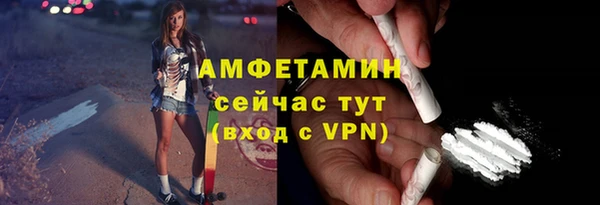 шишки Осинники
