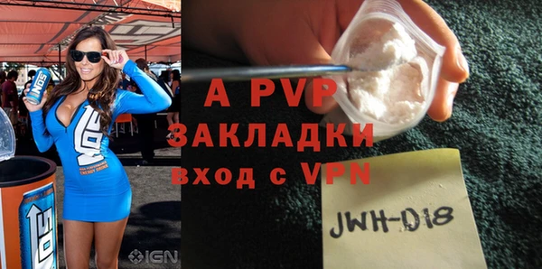 шишки Осинники