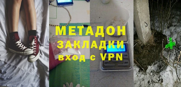 шишки Осинники