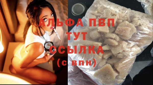 шишки Осинники