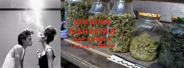 шишки Осинники