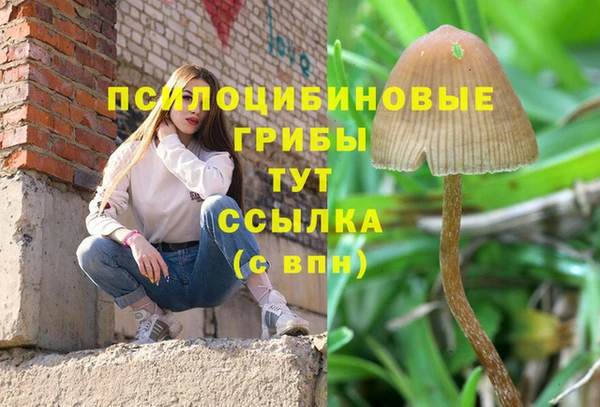 мдма Осташков