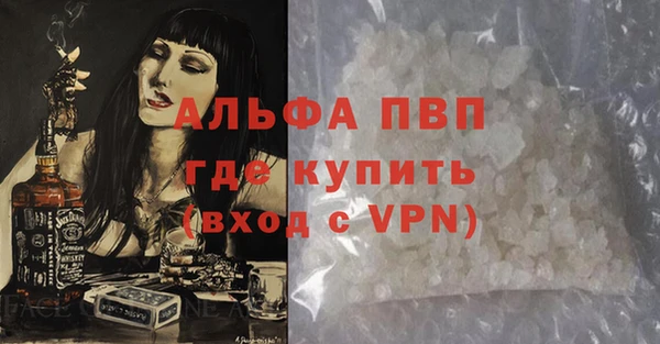 шишки Осинники