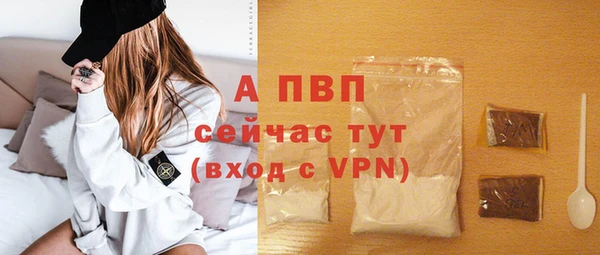 шишки Осинники